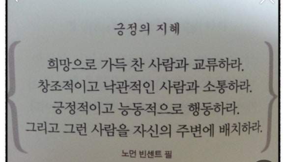초록나무 이미지