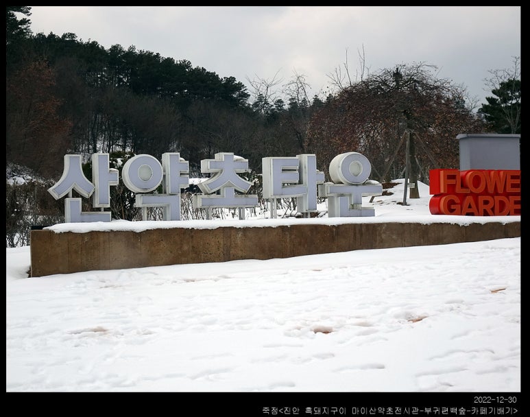 카페마이산 이미지