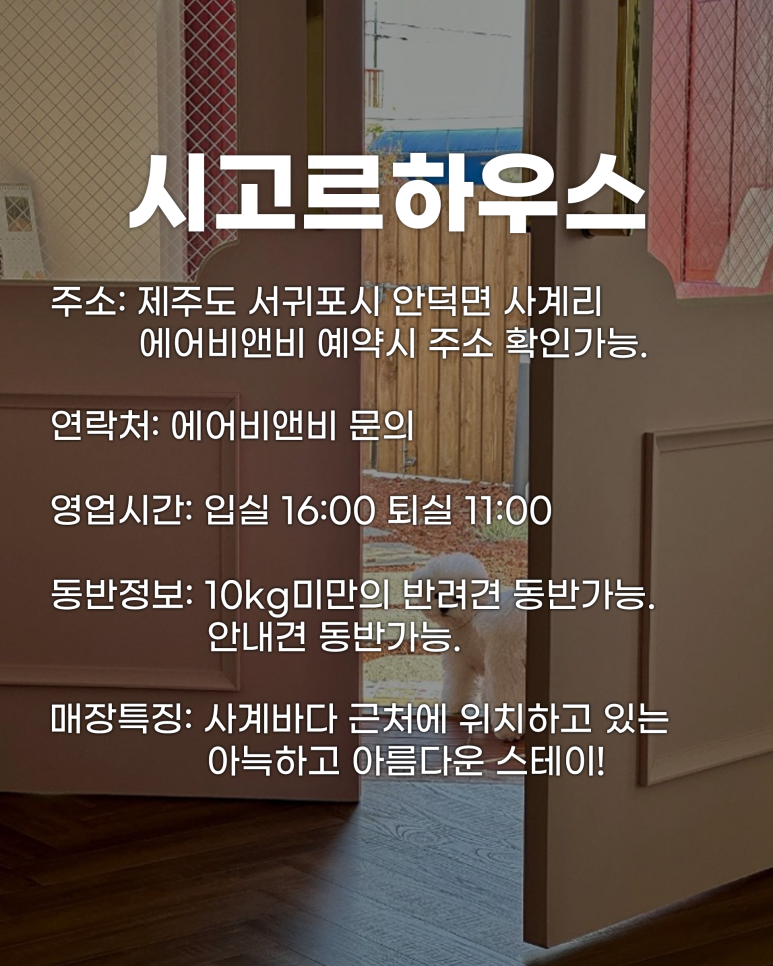 시고르하우스 이미지