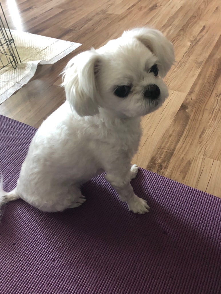 코코멍 이미지