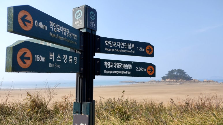 활주로야영장 이미지