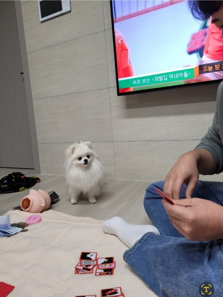 문어삼춘 이미지