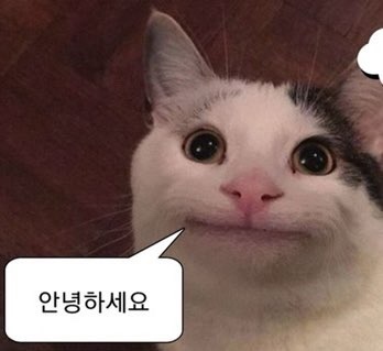 옥인피자 이미지