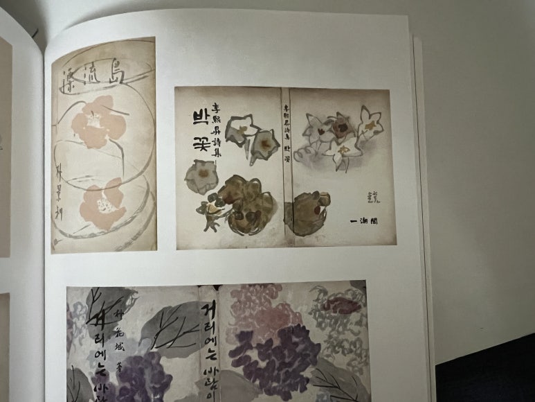 박꽃피는초가집 이미지