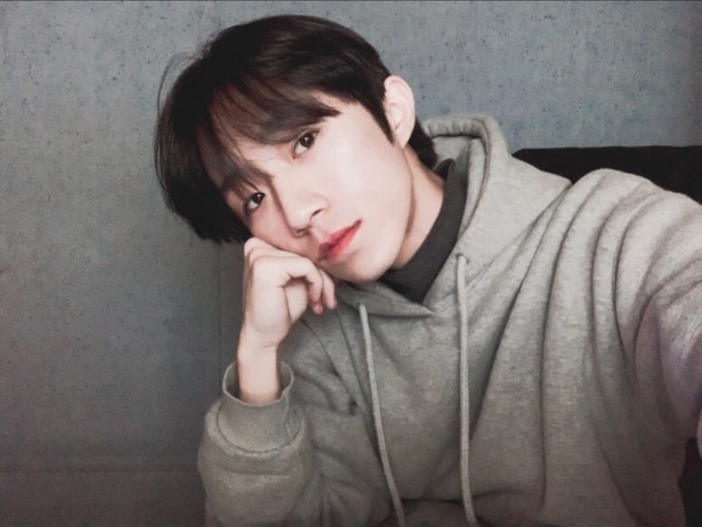 코이디아 이미지