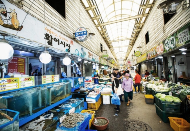 군포전집 이미지