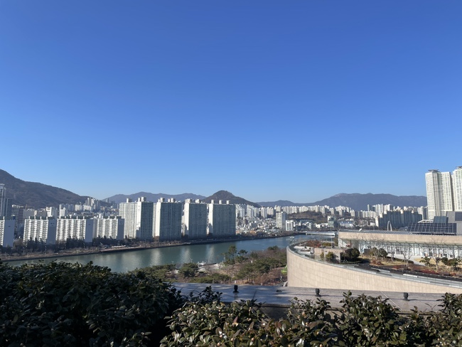 신세계주 이미지