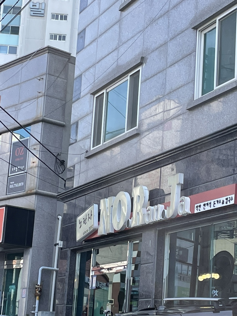 노란자국수 이미지