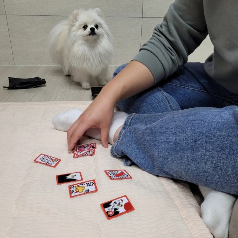 문어삼춘 이미지