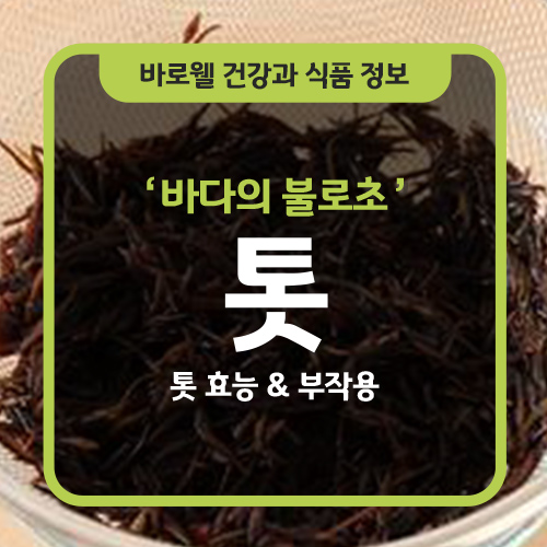 바다식품 이미지