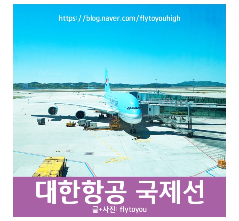 두근두근 체크인 이미지