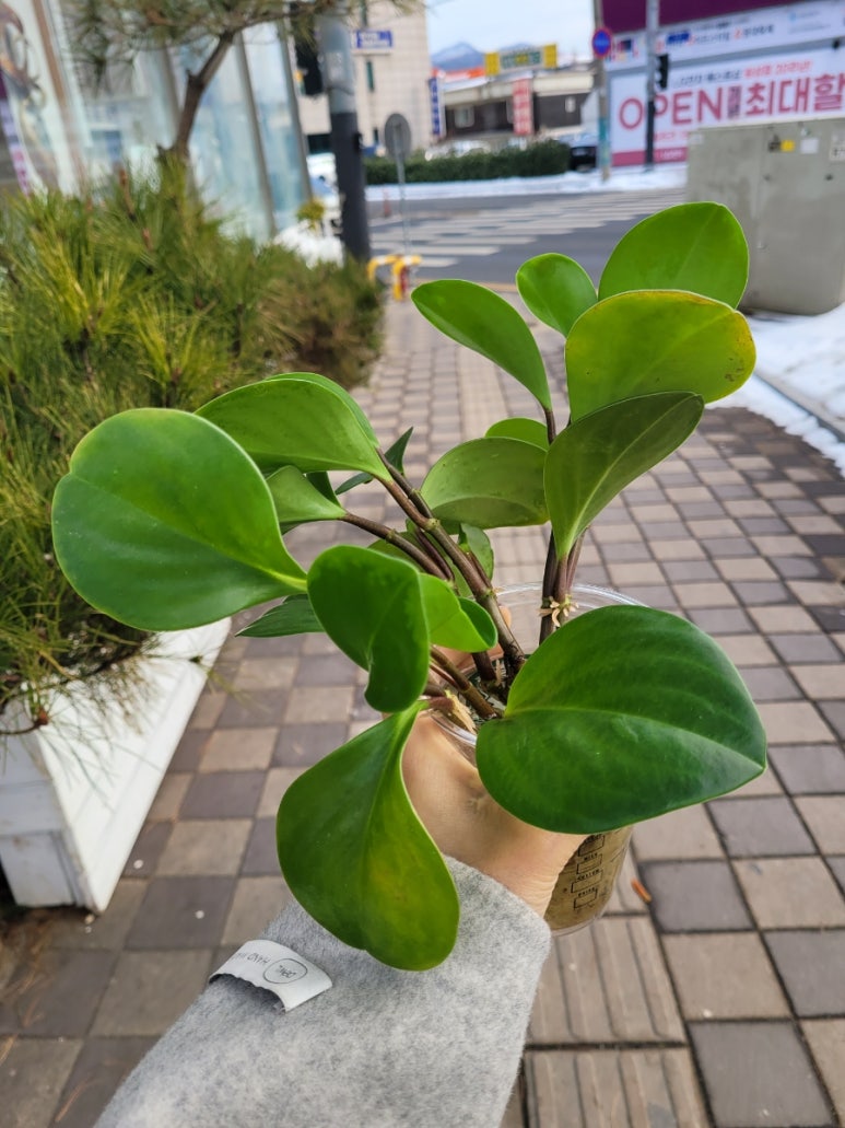 곽살롱 이미지