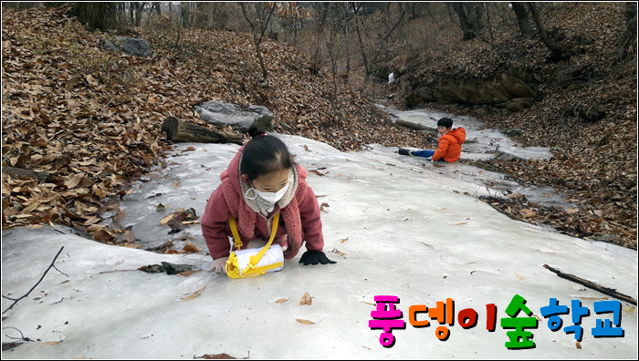 자연을담다 이미지