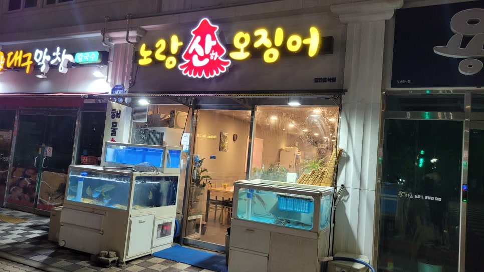노랑산하오징어 이미지
