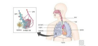 안양역요양보호사교육원 이미지