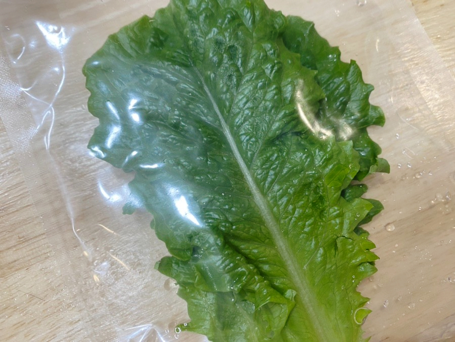박박이연구소 이미지