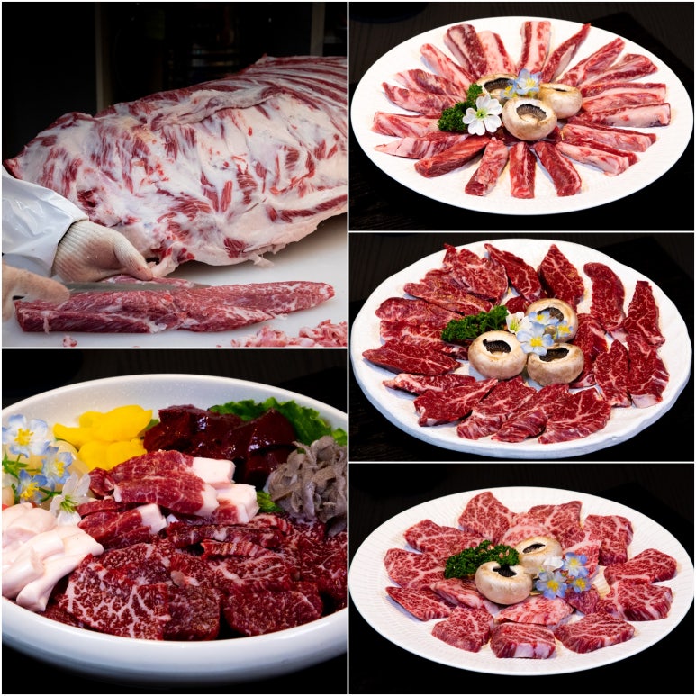 지구마루 이미지