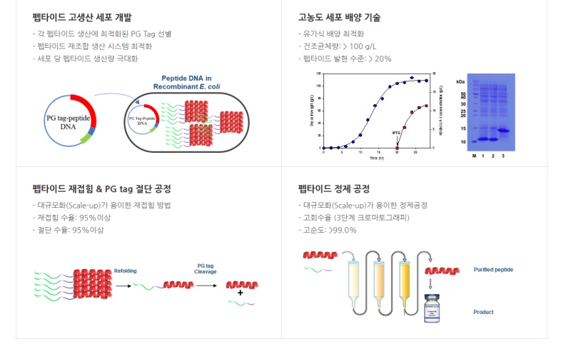주식회사 리라로 이미지