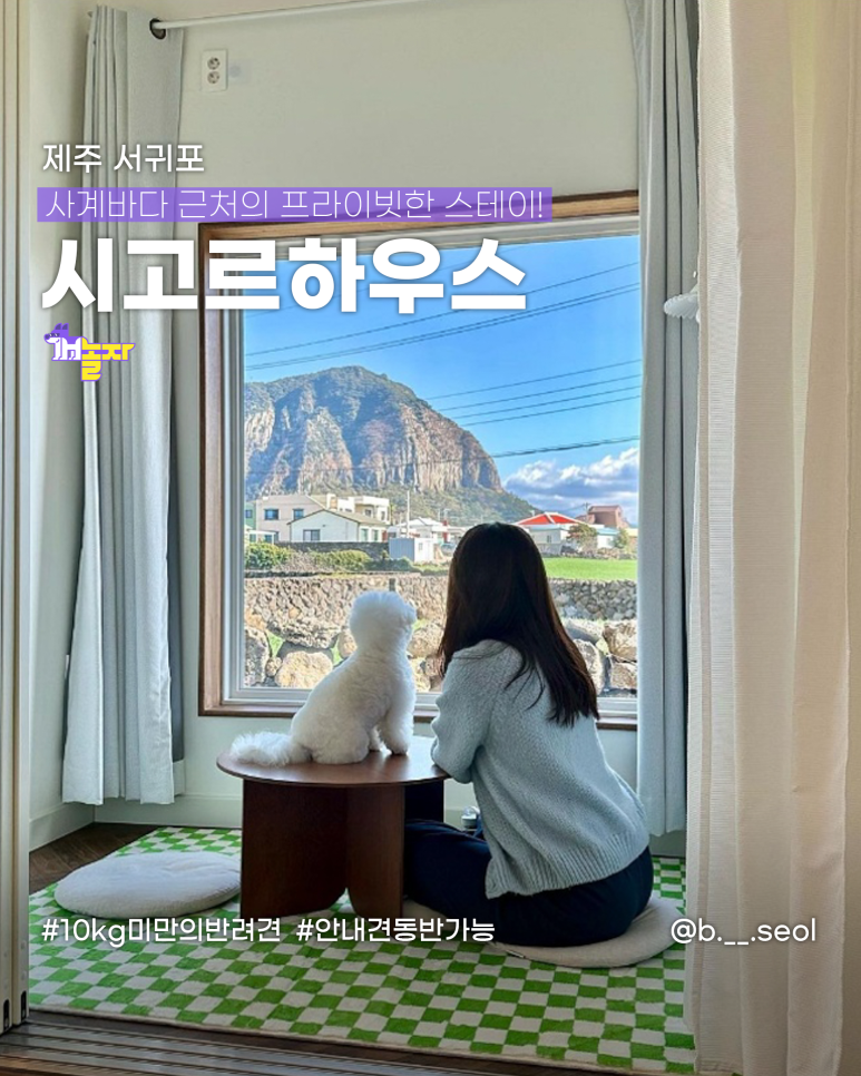 시고르하우스 이미지