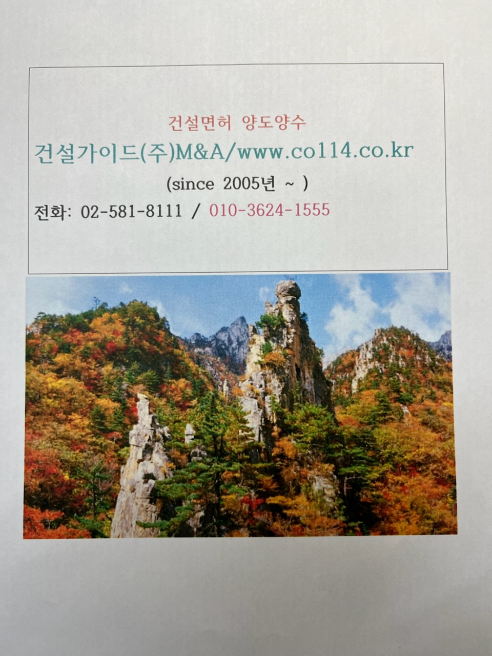 나무건설정보 이미지