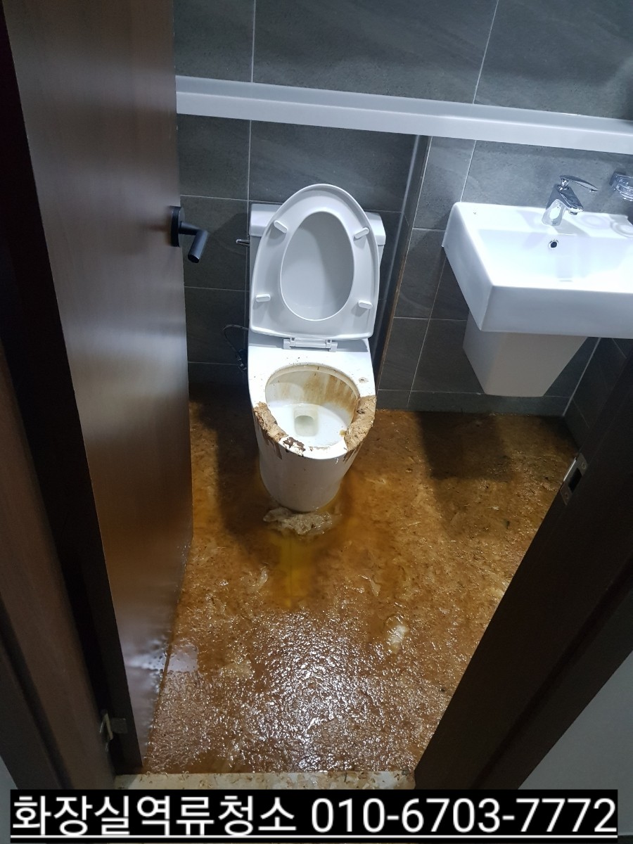풀잎종합환경 이미지