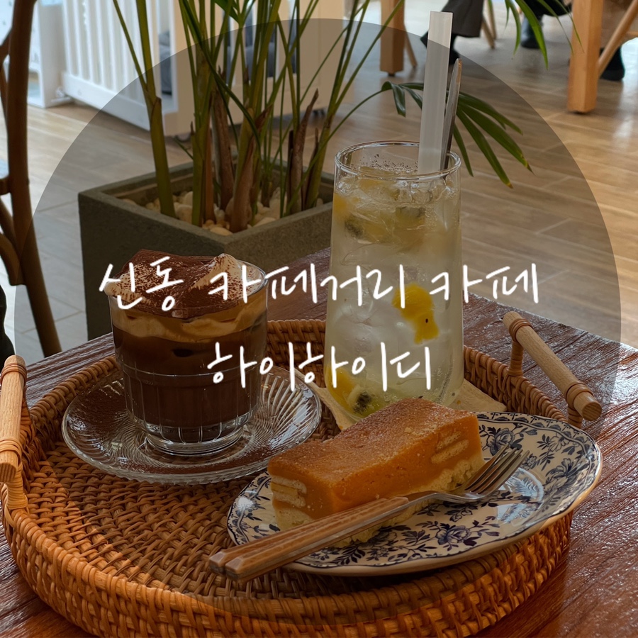 하이디바 이미지