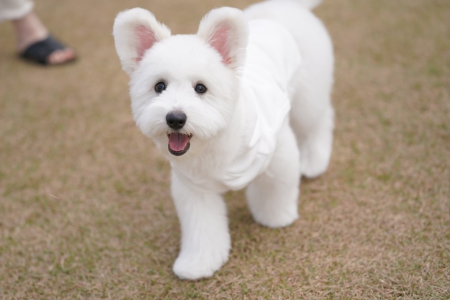 동산스튜디오 이미지