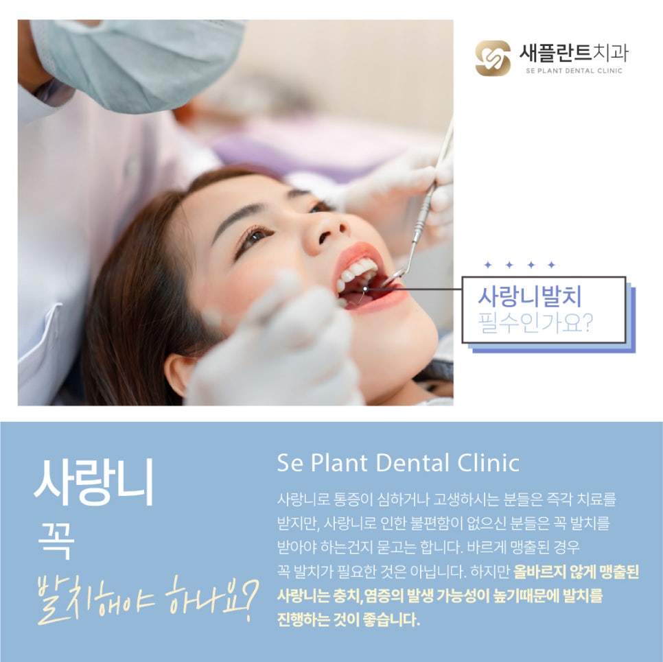 새서울플란트치과 이미지