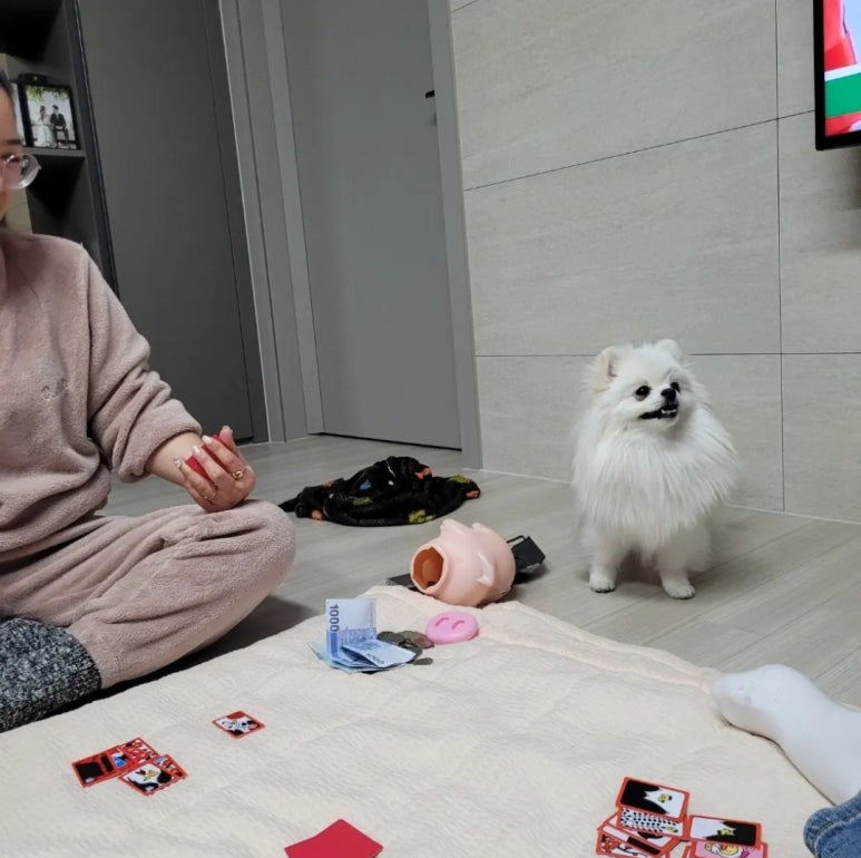 문어삼춘 이미지