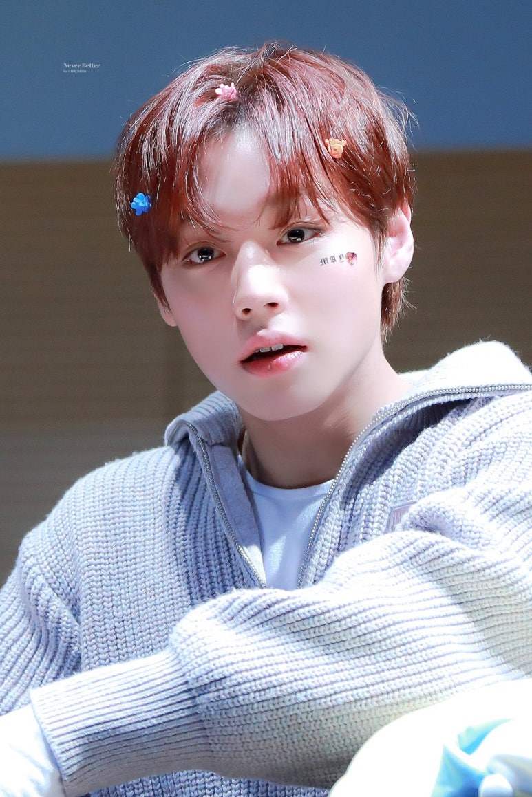 오리랑 국밥이랑 이미지