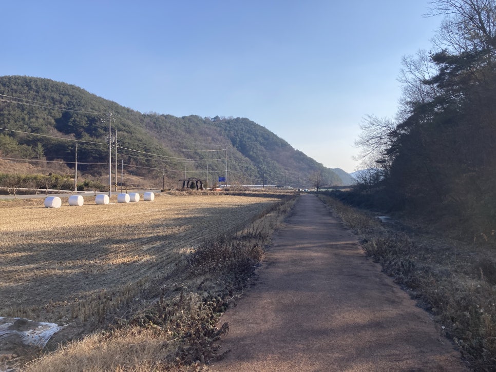 플로라캠프 이미지