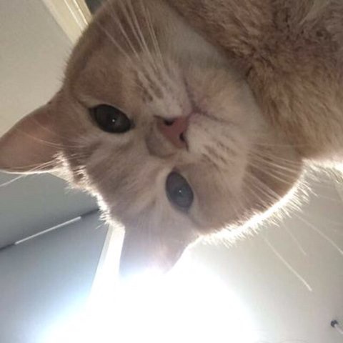 진영정육점 이미지