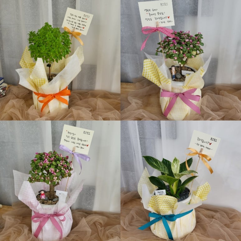봄에솔이 이미지
