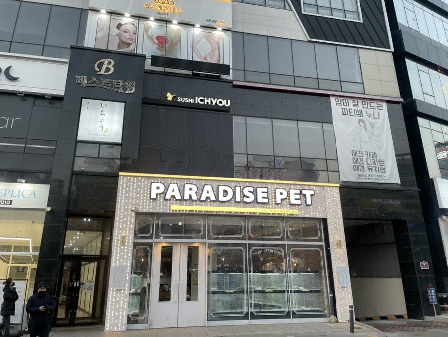 스시이쵸우 이미지