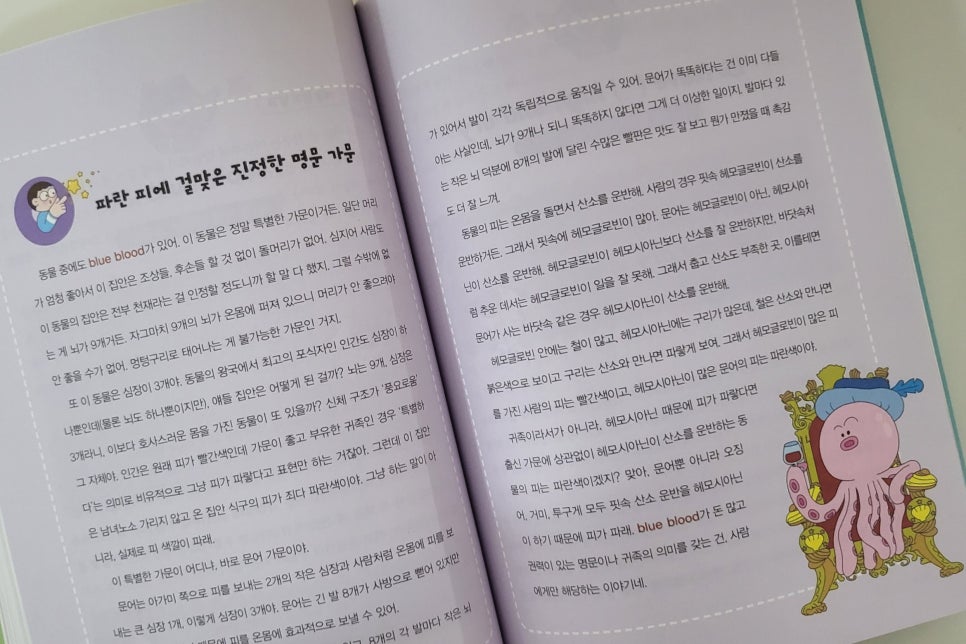 미늉킴 이미지