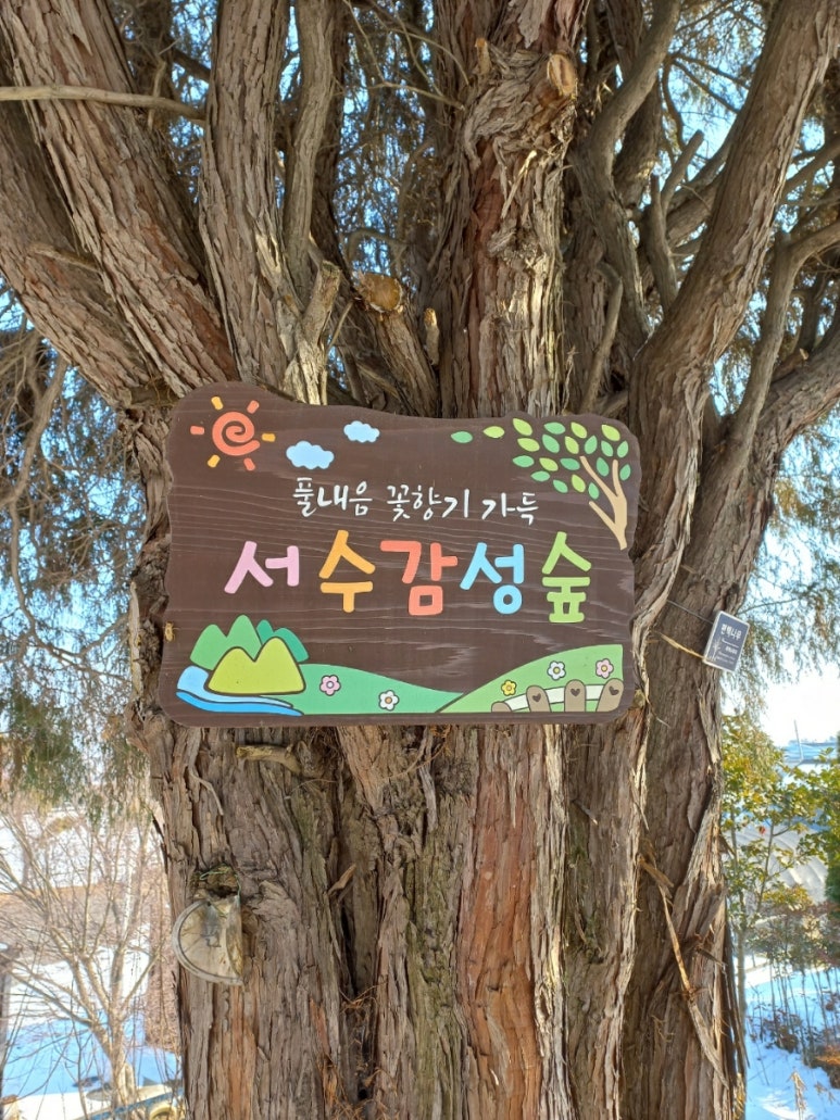 서수초등학교 이미지