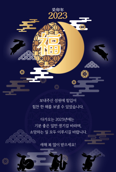 대한듀오콕스포츠 이미지
