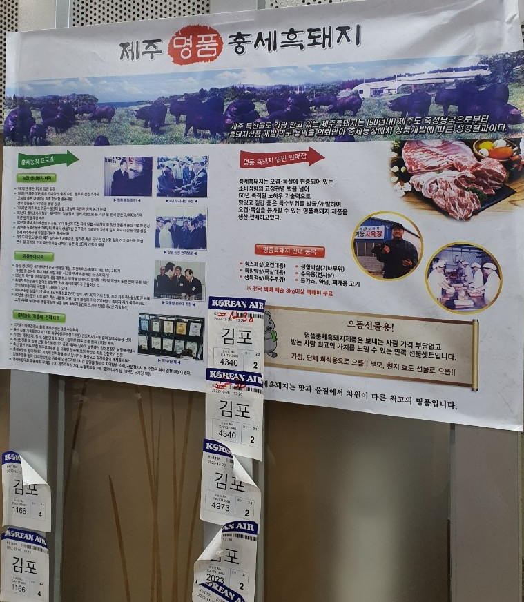 제주충세흑돼지 이미지