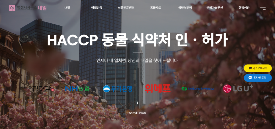내일행정사사무소 이미지