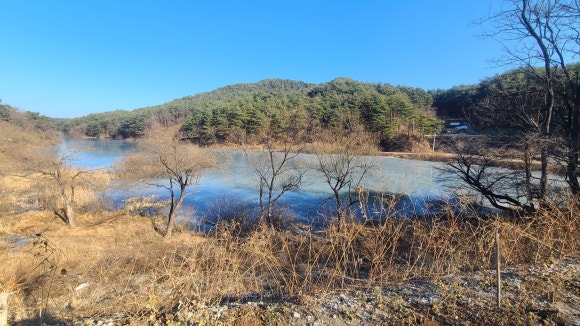 카페지니얼 이미지