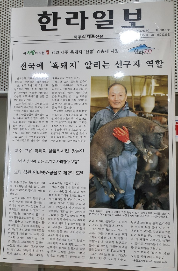 제주충세흑돼지 이미지