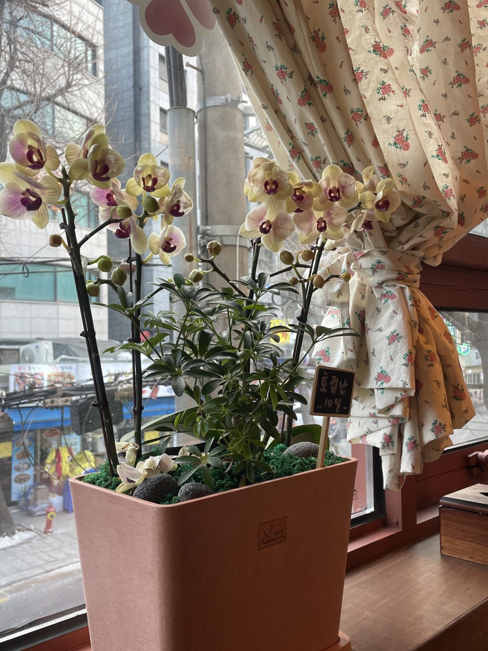크로바다방 이미지