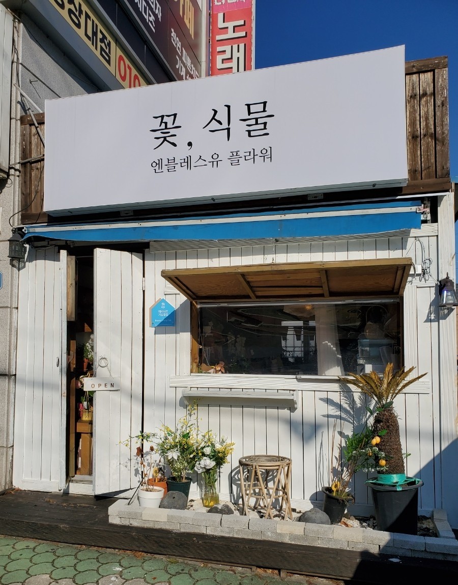 엔블레스유 이미지
