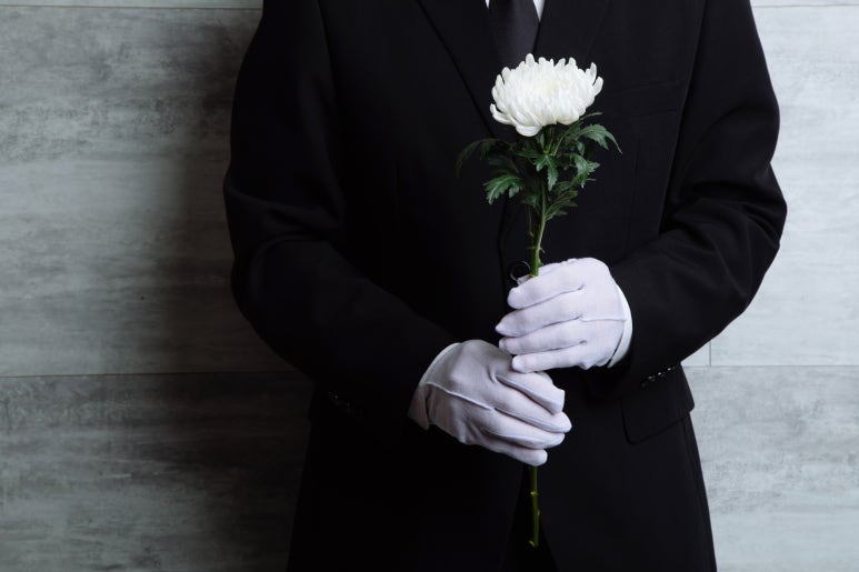 브이아이피서비스 이미지