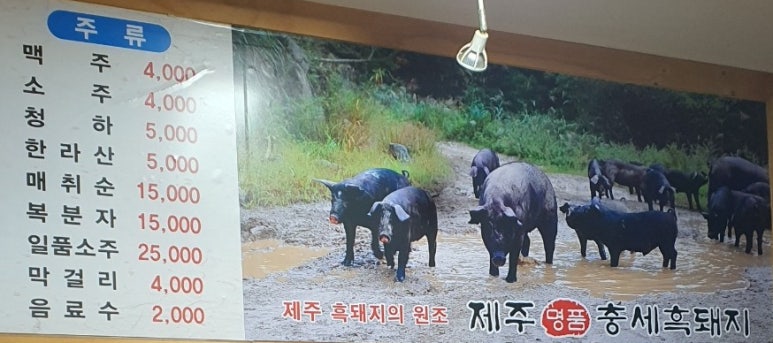 제주충세흑돼지 이미지