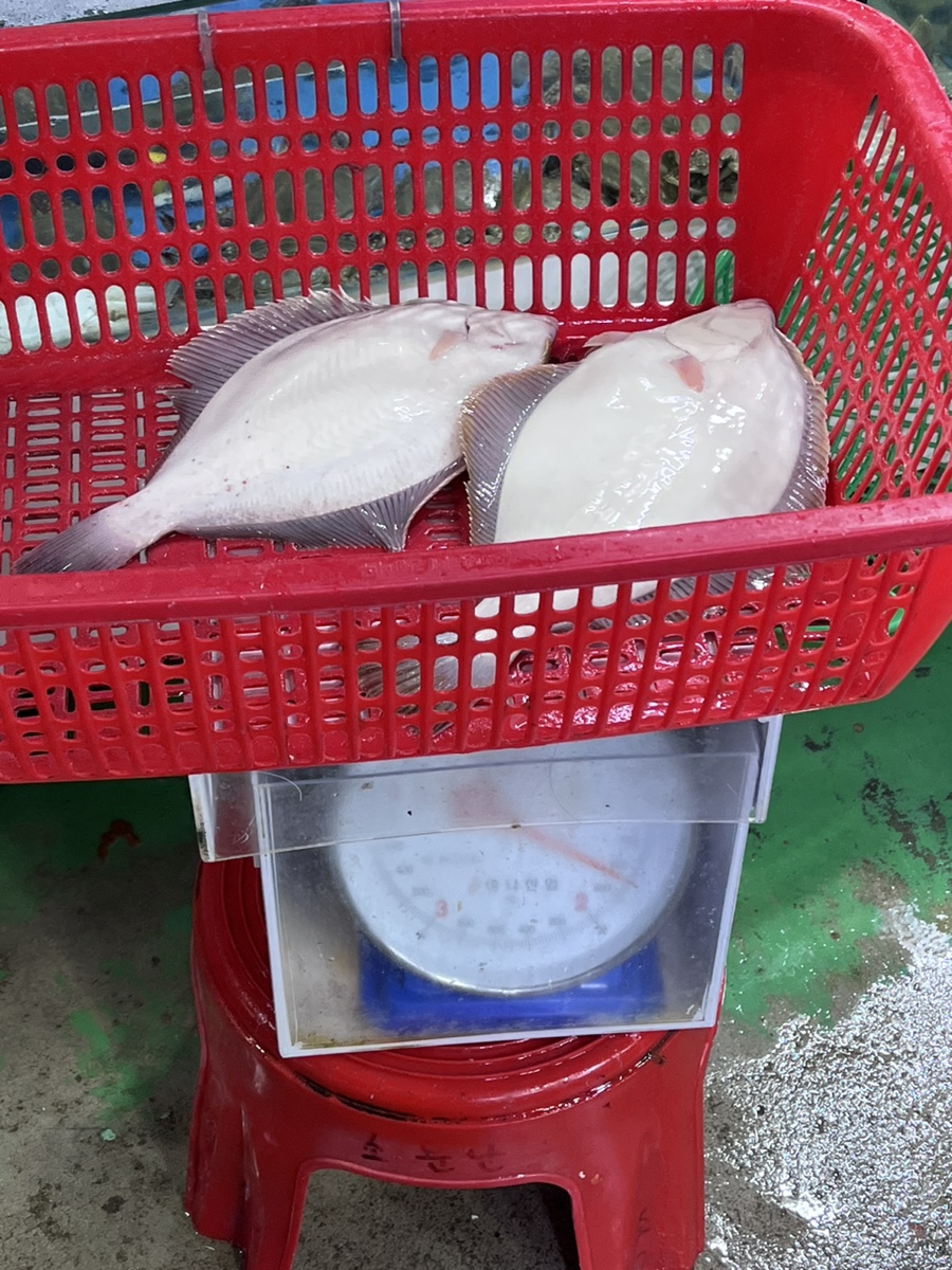 민성수산 이미지