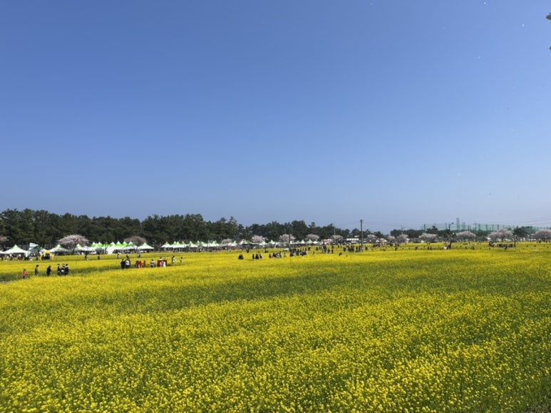 상맹방1리 이미지