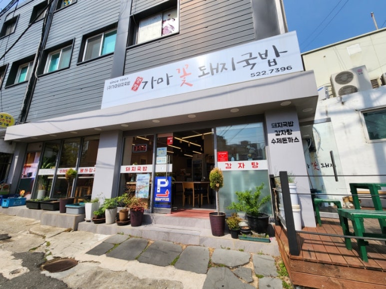 가마꽃돼지 이미지