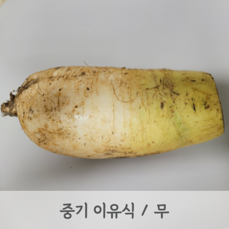 모도리베이비 이미지