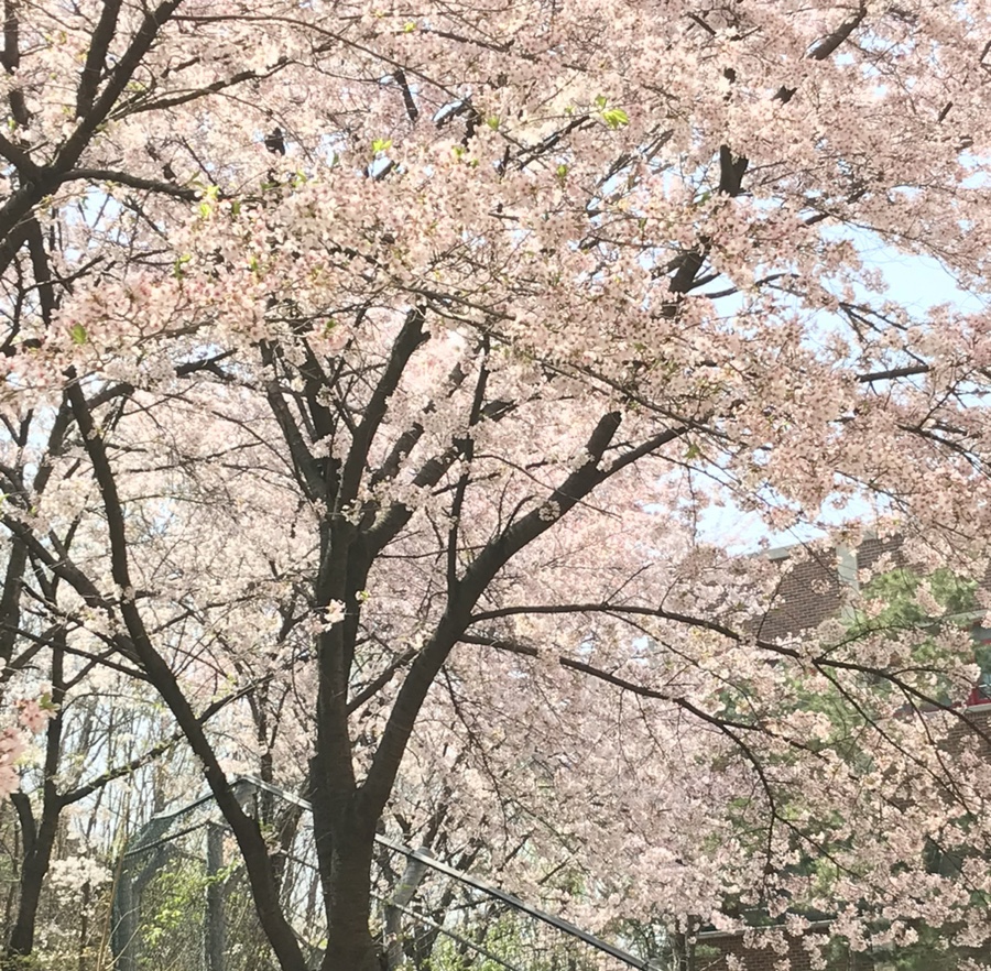 효경라이프 이미지